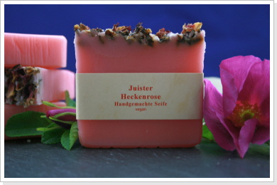 Juister Heckenrose Juister Heckenrose